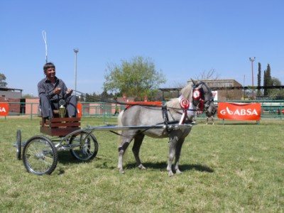 SA Champion for 2010